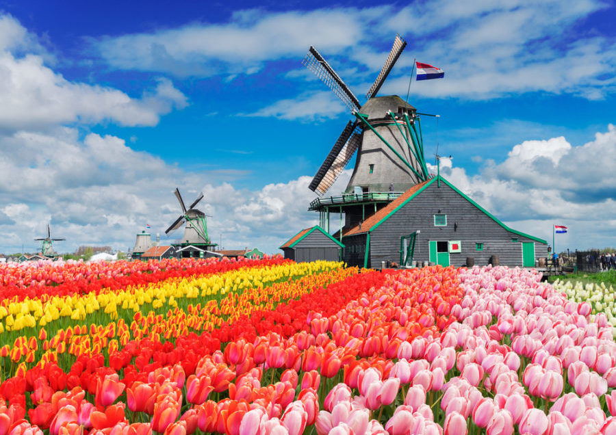 Photo of What Is the Netherlands Known For? 3/4 by Sreeram Hariharan