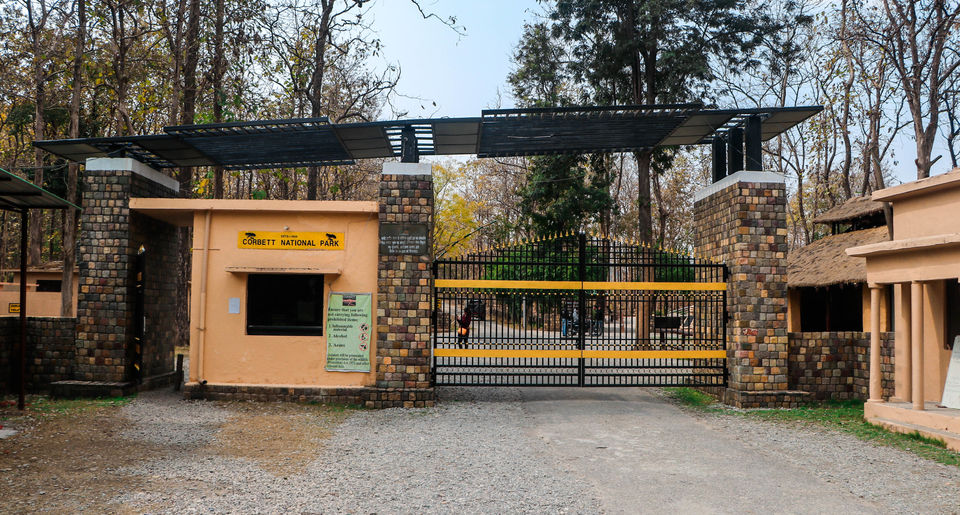 Photo of Jim Corbett National Park (Dhikala forest) - Budget and every detail you need to plan your own trip 4/18 by Savvy Fernweh