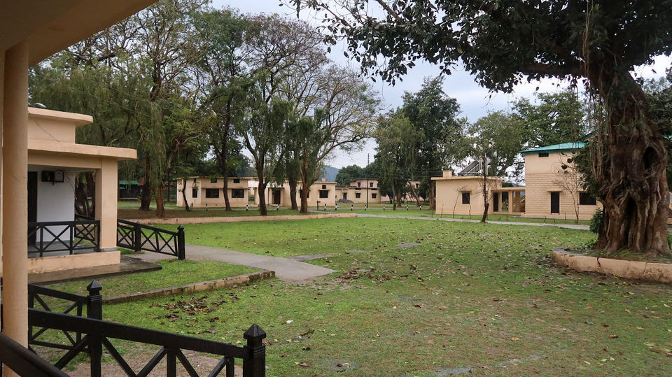 Photo of Jim Corbett National Park (Dhikala forest) - Budget and every detail you need to plan your own trip 9/18 by Savvy Fernweh