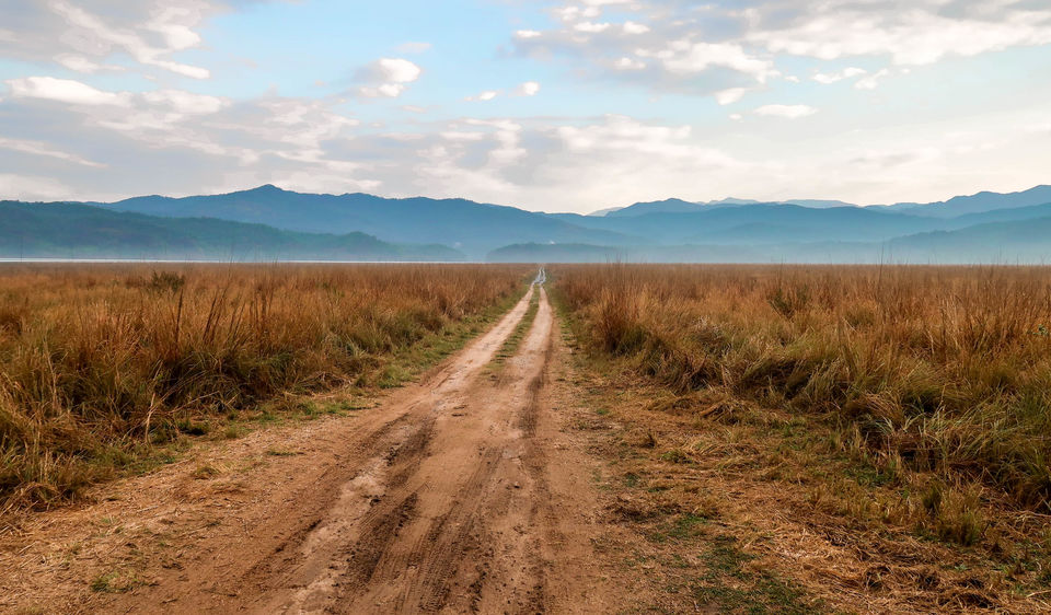 Photo of Jim Corbett National Park (Dhikala forest) - Budget and every detail you need to plan your own trip 14/18 by Savvy Fernweh