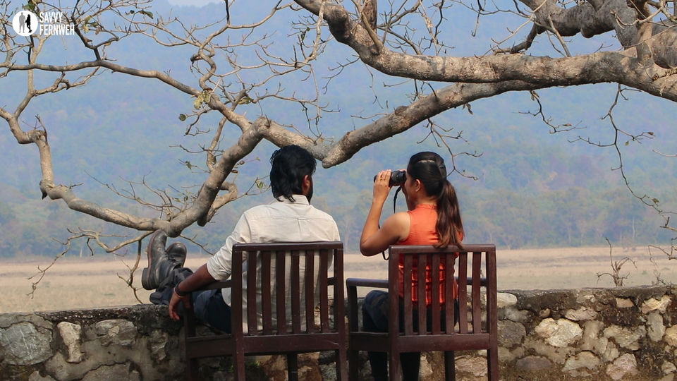 Photo of Jim Corbett National Park (Dhikala forest) - Budget and every detail you need to plan your own trip 17/18 by Savvy Fernweh