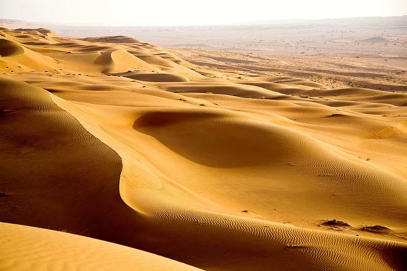 Photo of Wahiba Sands Desert, Ash Sharqiyah, Oman by Veronica May