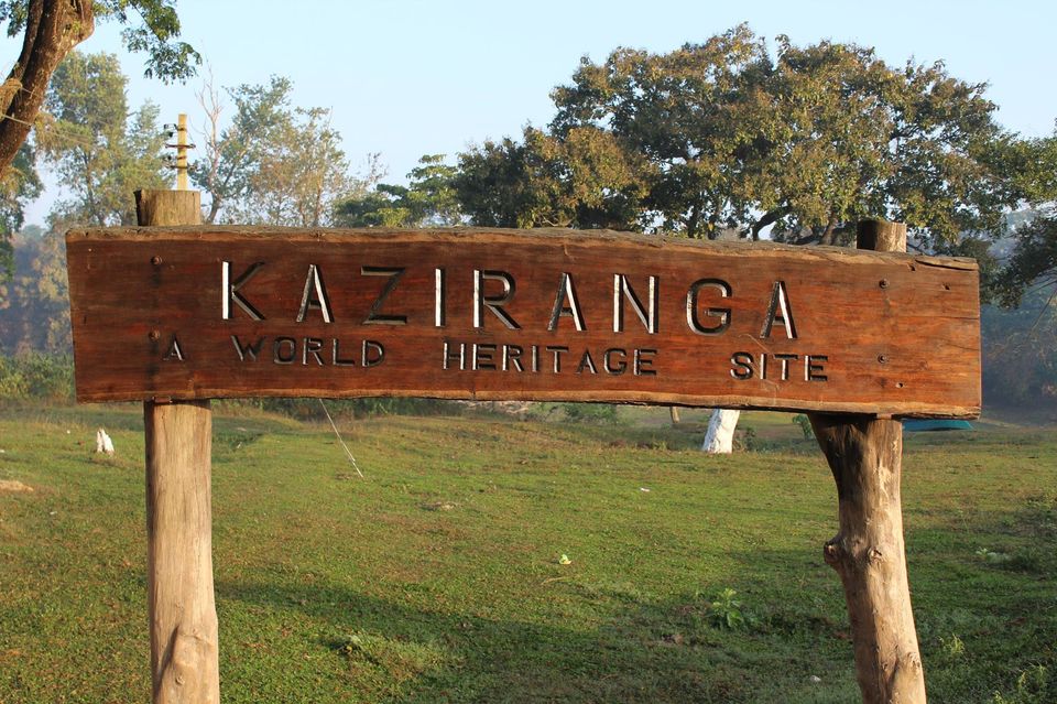 Photo of North-East Diaries- Kaziranga National Park 1/46 by Rachit Pathak