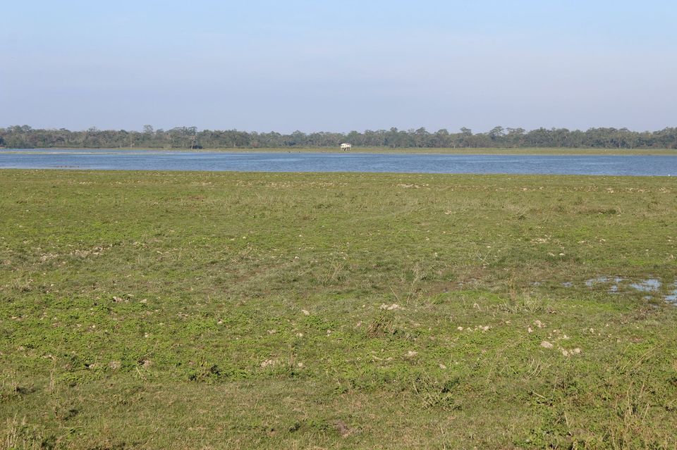 Photo of North-East Diaries- Kaziranga National Park 30/46 by Rachit Pathak