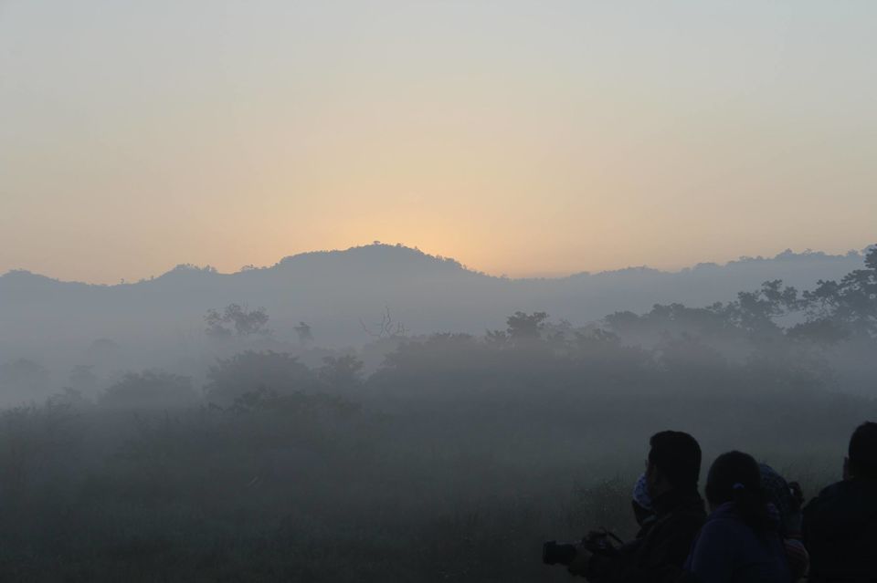Photo of North-East Diaries- Kaziranga National Park 29/46 by Rachit Pathak