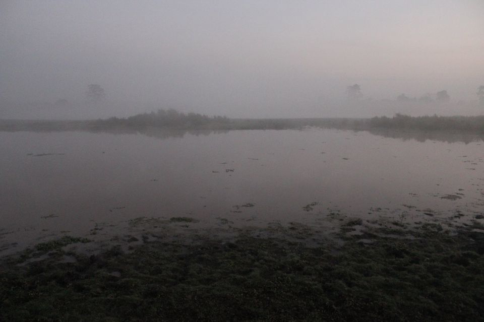 Photo of North-East Diaries- Kaziranga National Park 23/46 by Rachit Pathak
