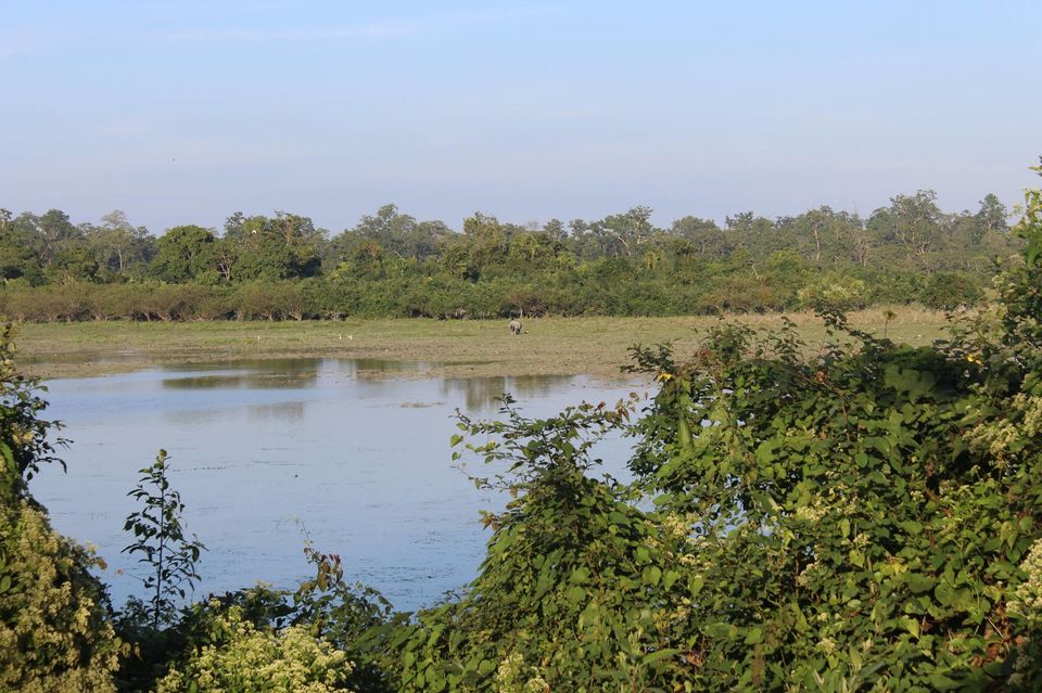 Photo of North-East Diaries- Kaziranga National Park 28/46 by Rachit Pathak