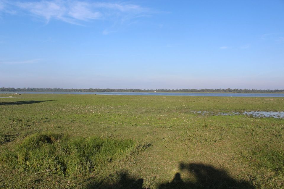Photo of North-East Diaries- Kaziranga National Park 10/46 by Rachit Pathak