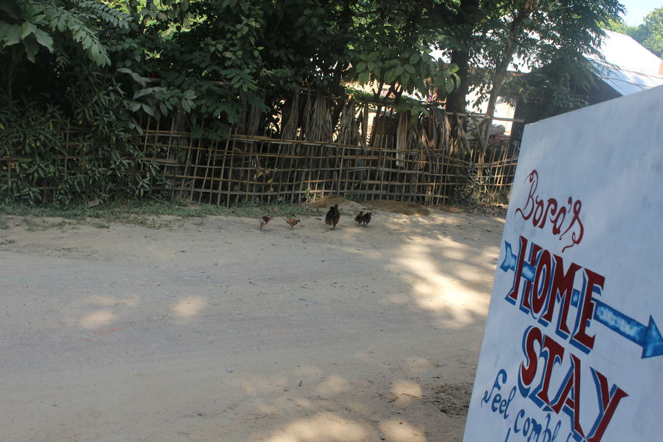 Photo of North-East Diaries- Kaziranga National Park 36/46 by Rachit Pathak