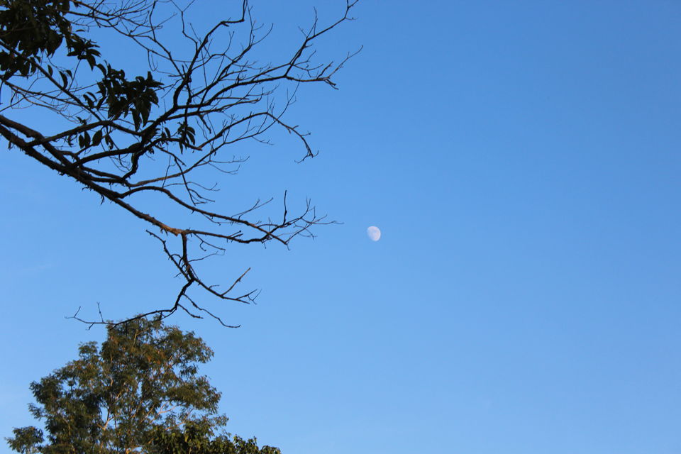 Photo of North-East Diaries- Kaziranga National Park 41/46 by Rachit Pathak
