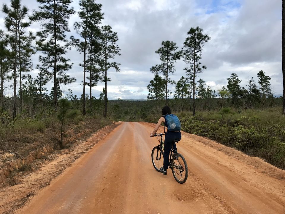 Photo of Mountain Pine Ridge Forest Reserve, Belize by Alice