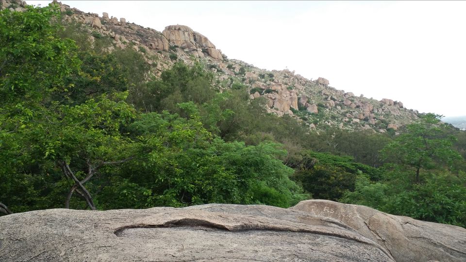 Photo of Antargange Cave Trek Point by Divya Hasti