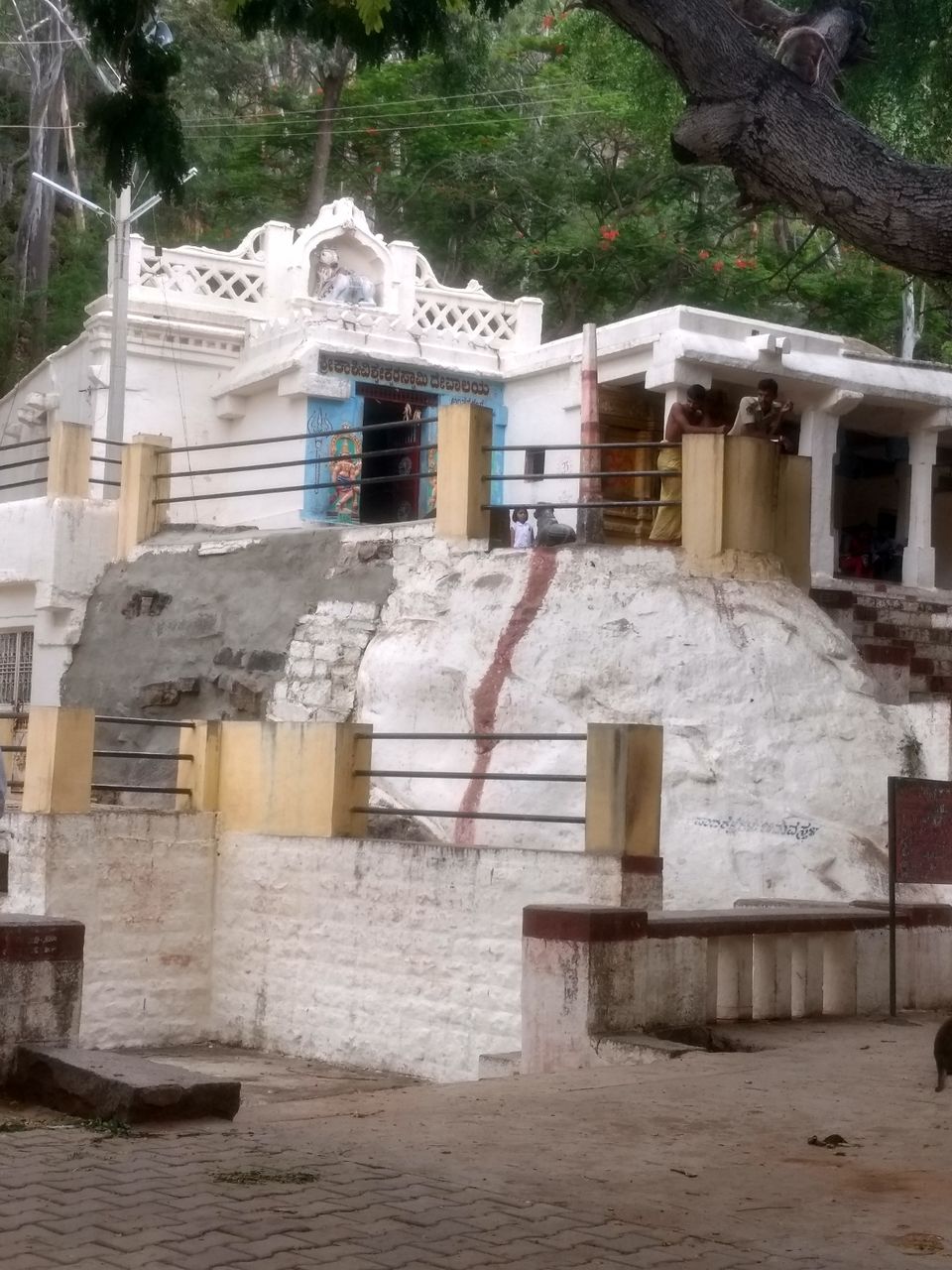 Photo of Antargange Cave Trek Point by Divya Hasti