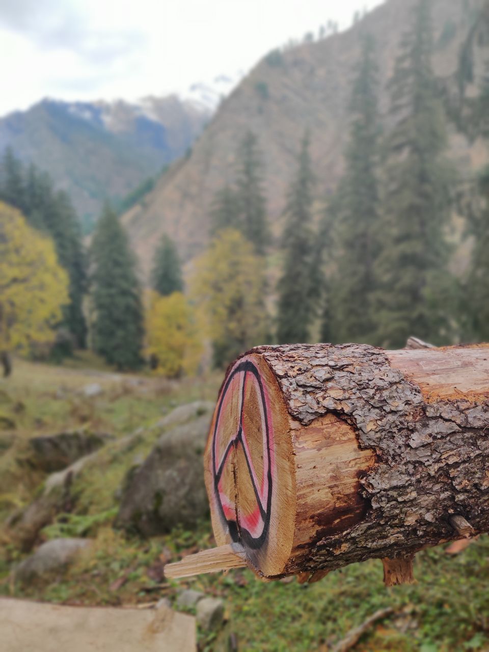 Photo of Kheerganga - Glimpse of a Hippie Trek by Hippie On Road