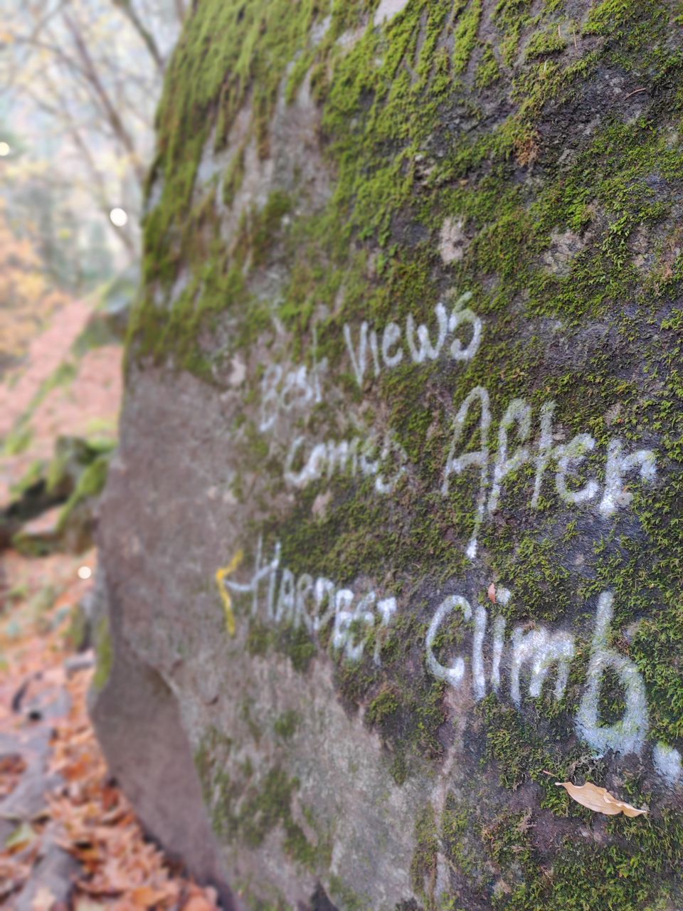 Photo of Kheerganga - Glimpse of a Hippie Trek by Hippie On Road