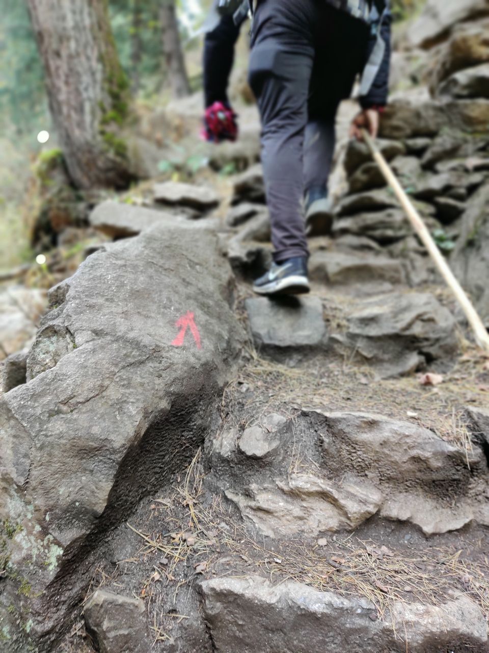 Photo of Kheerganga - Glimpse of a Hippie Trek by Hippie On Road