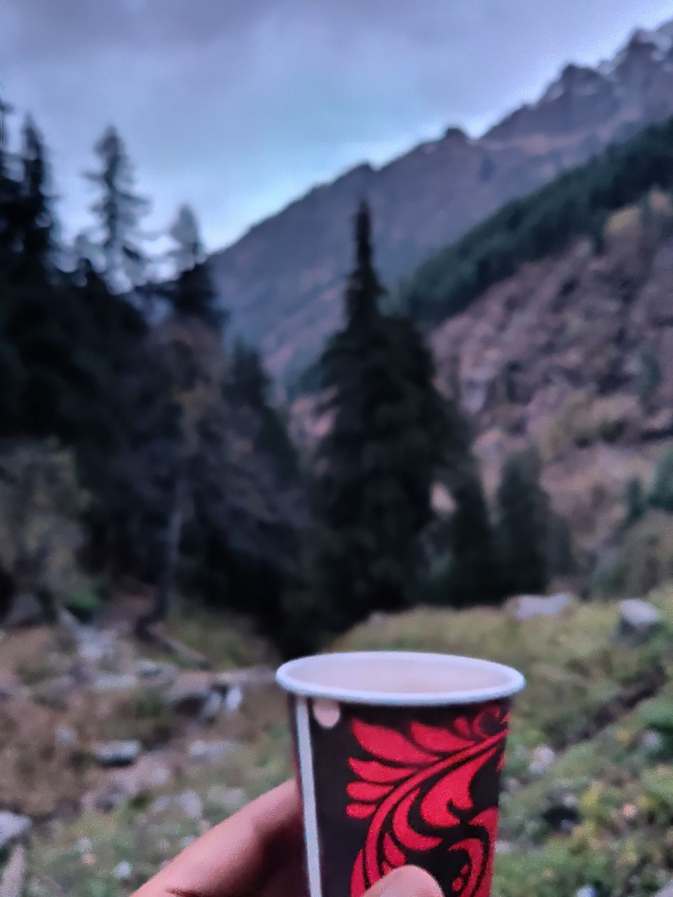 Photo of Kheerganga - Glimpse of a Hippie Trek by Hippie On Road