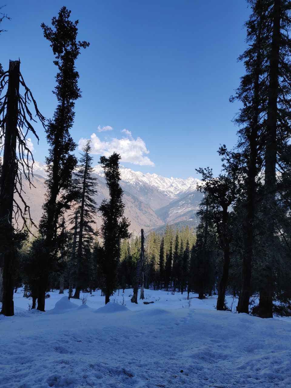 Photo of Kedarkantha - Me vs The Mountains 5/8 by Subhashruthi Nadadhur