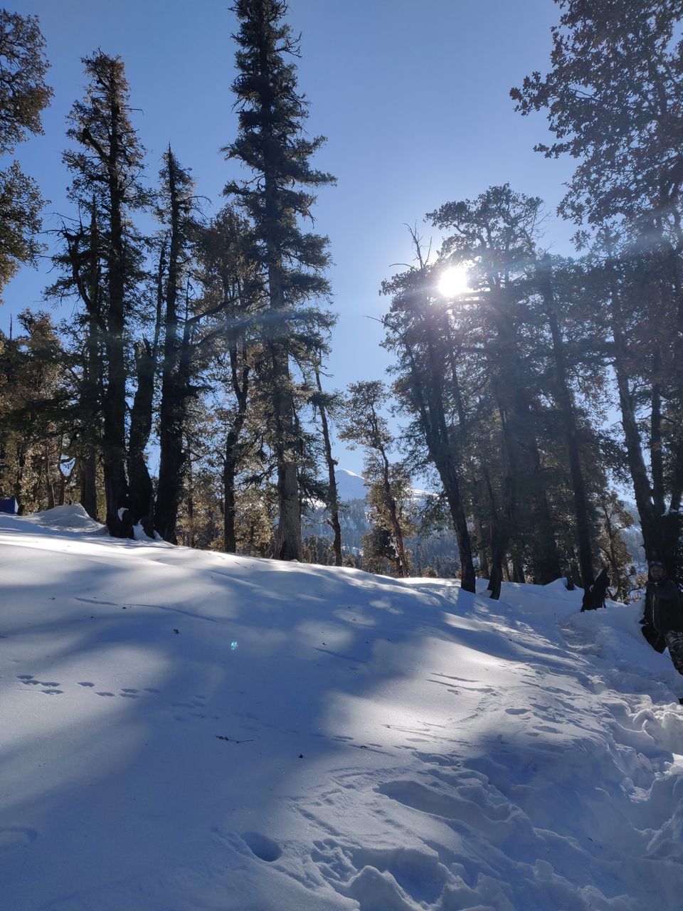 Photo of Kedarkantha - Me vs The Mountains 3/8 by Subhashruthi Nadadhur