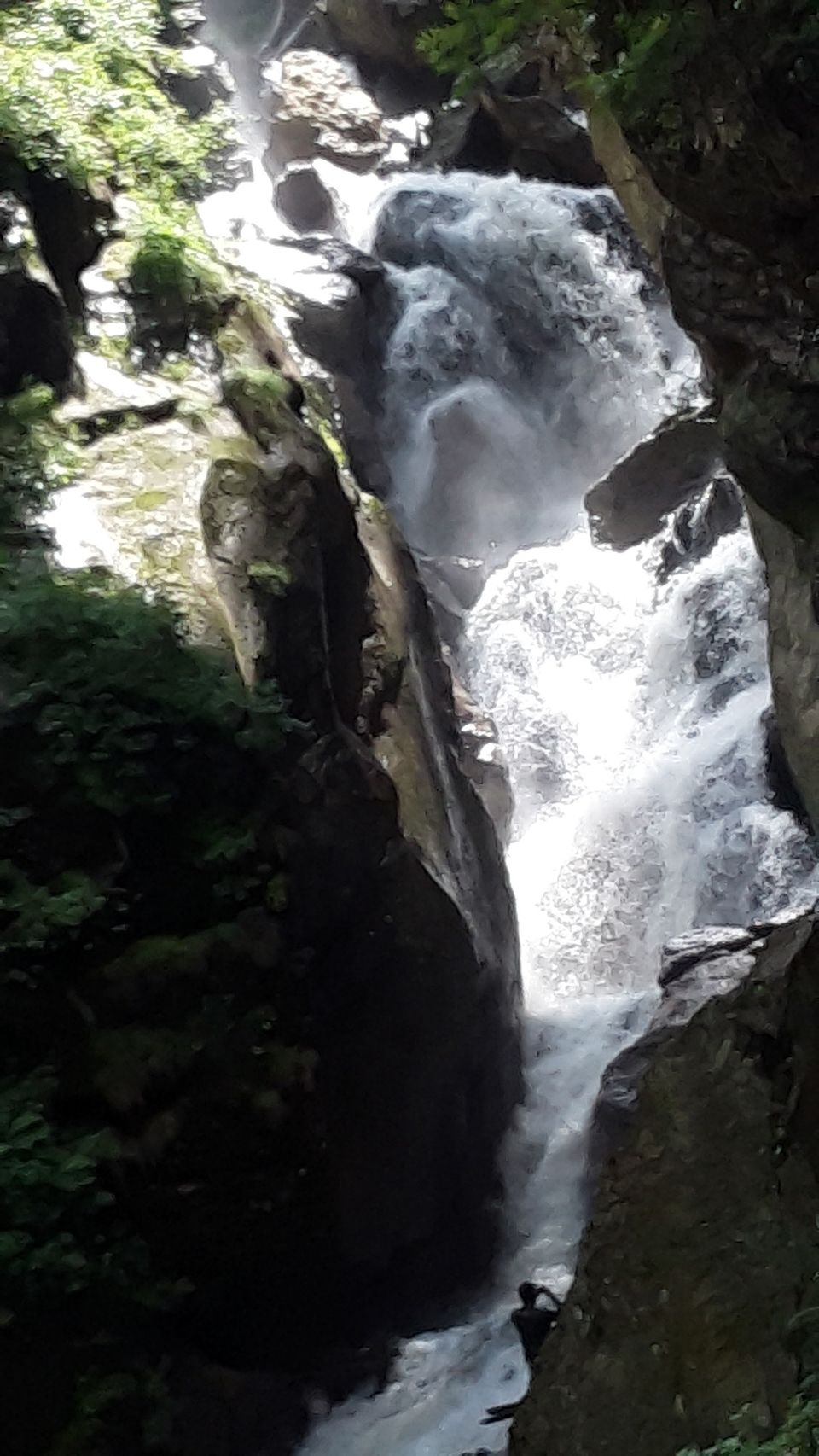 Photo of Kheerganga Camping, Shimla, India by Rajesh Poddar