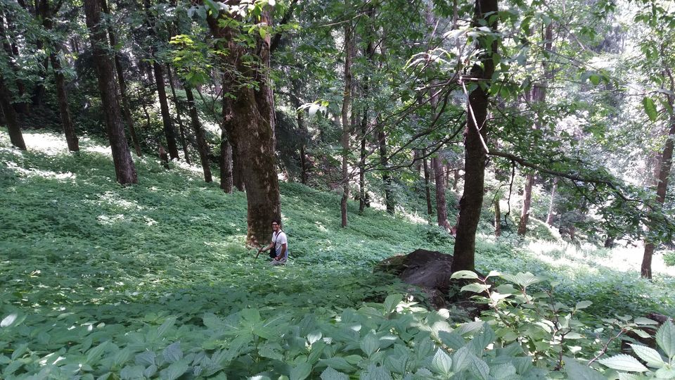 Photo of Kheerganga Camping, Shimla, India by Rajesh Poddar