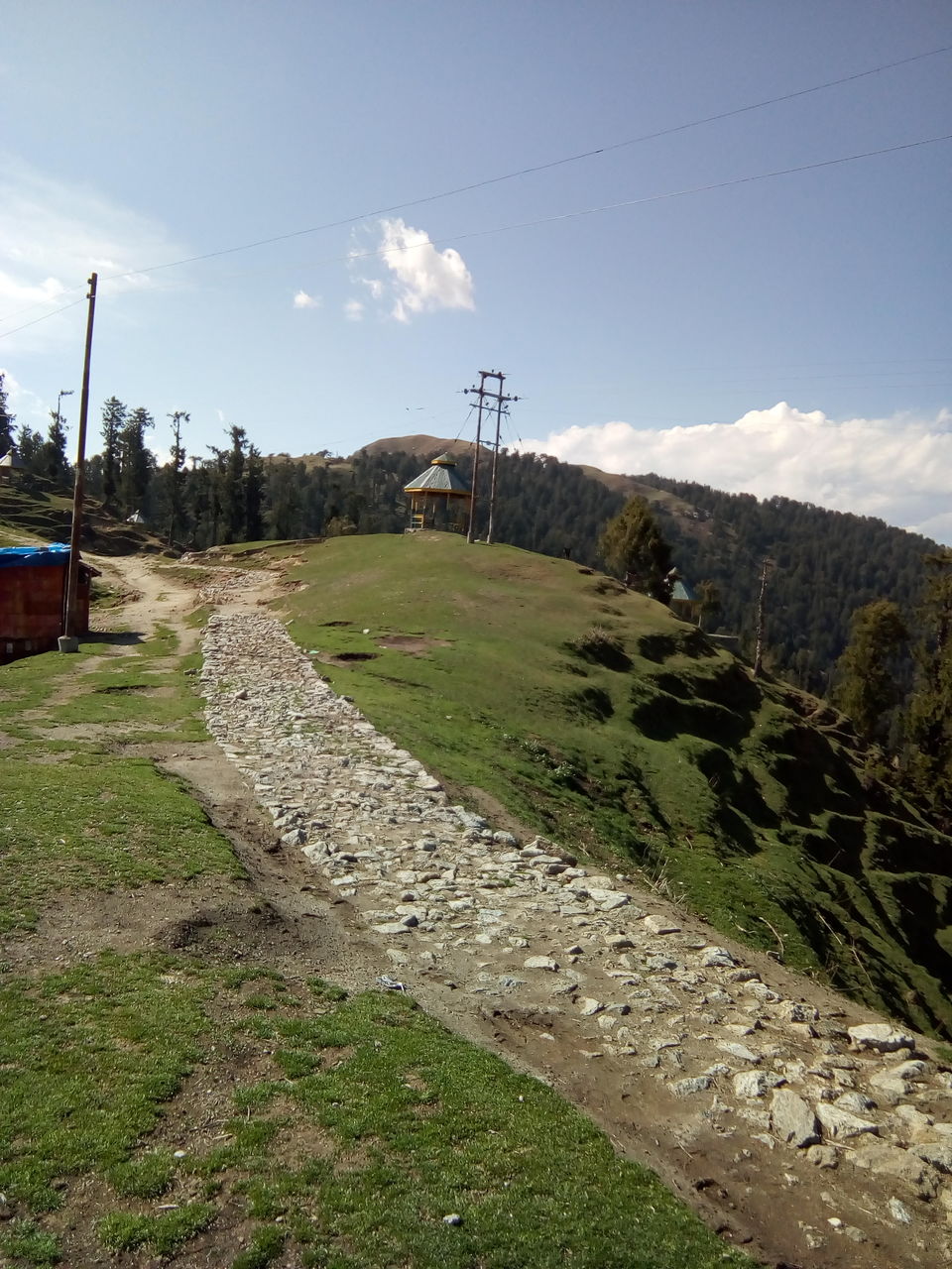 Photo of Dainkund Peak - Jot Trek by Deepika Patnaik