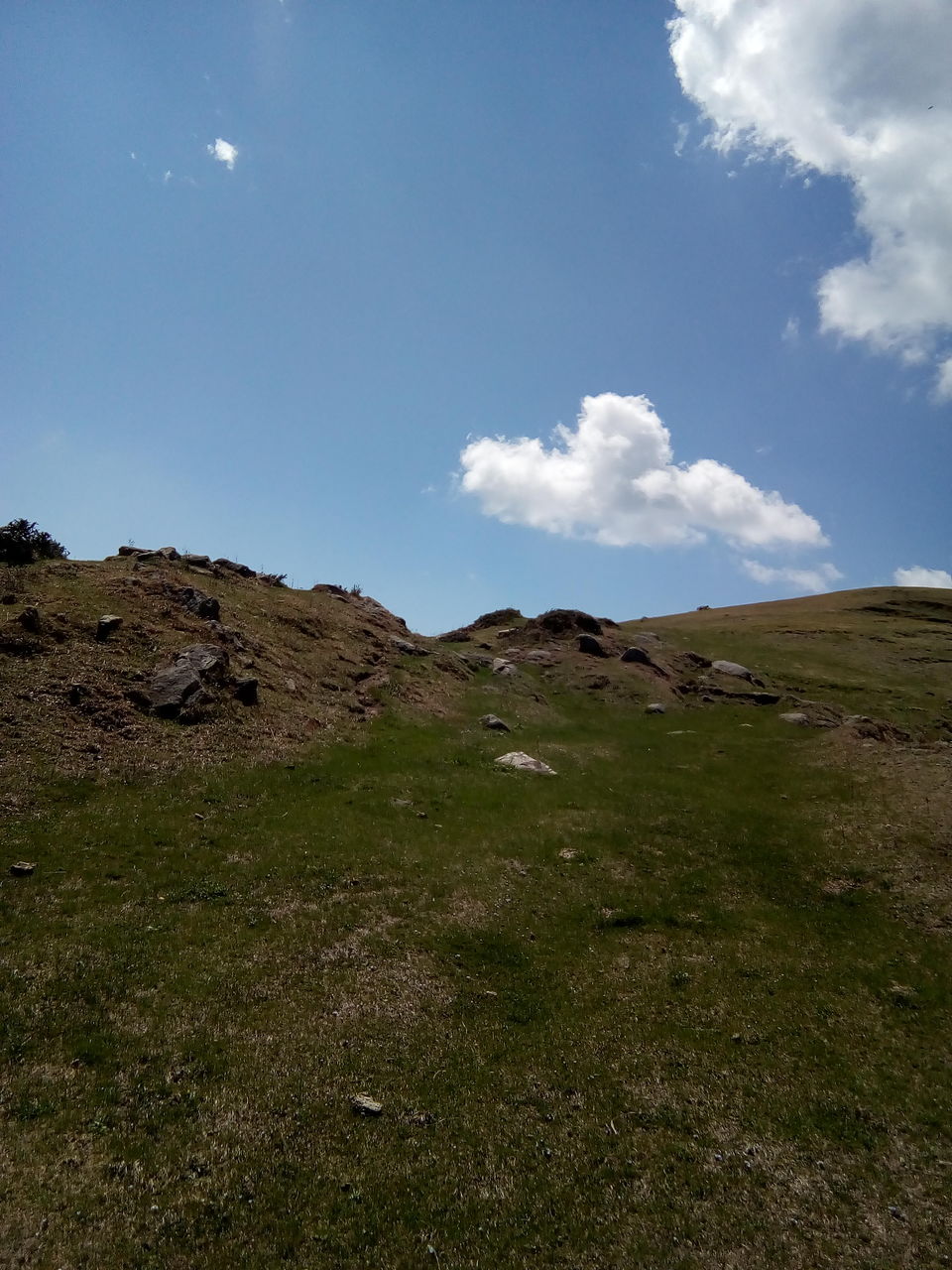 Photo of Dainkund Peak - Jot Trek by Deepika Patnaik
