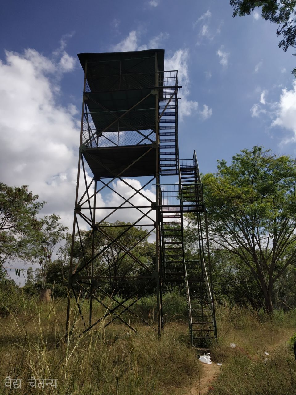 Photo of Gendekatte Forest by Dr Chaitanya Badami