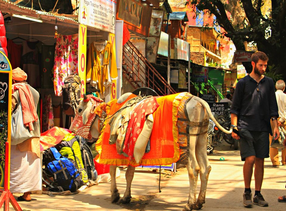 Photo of Liberate your soul in Dev Bhoomi-Rishikesh 3/4 by The Barefoot Wanderer - Nupur Kohli