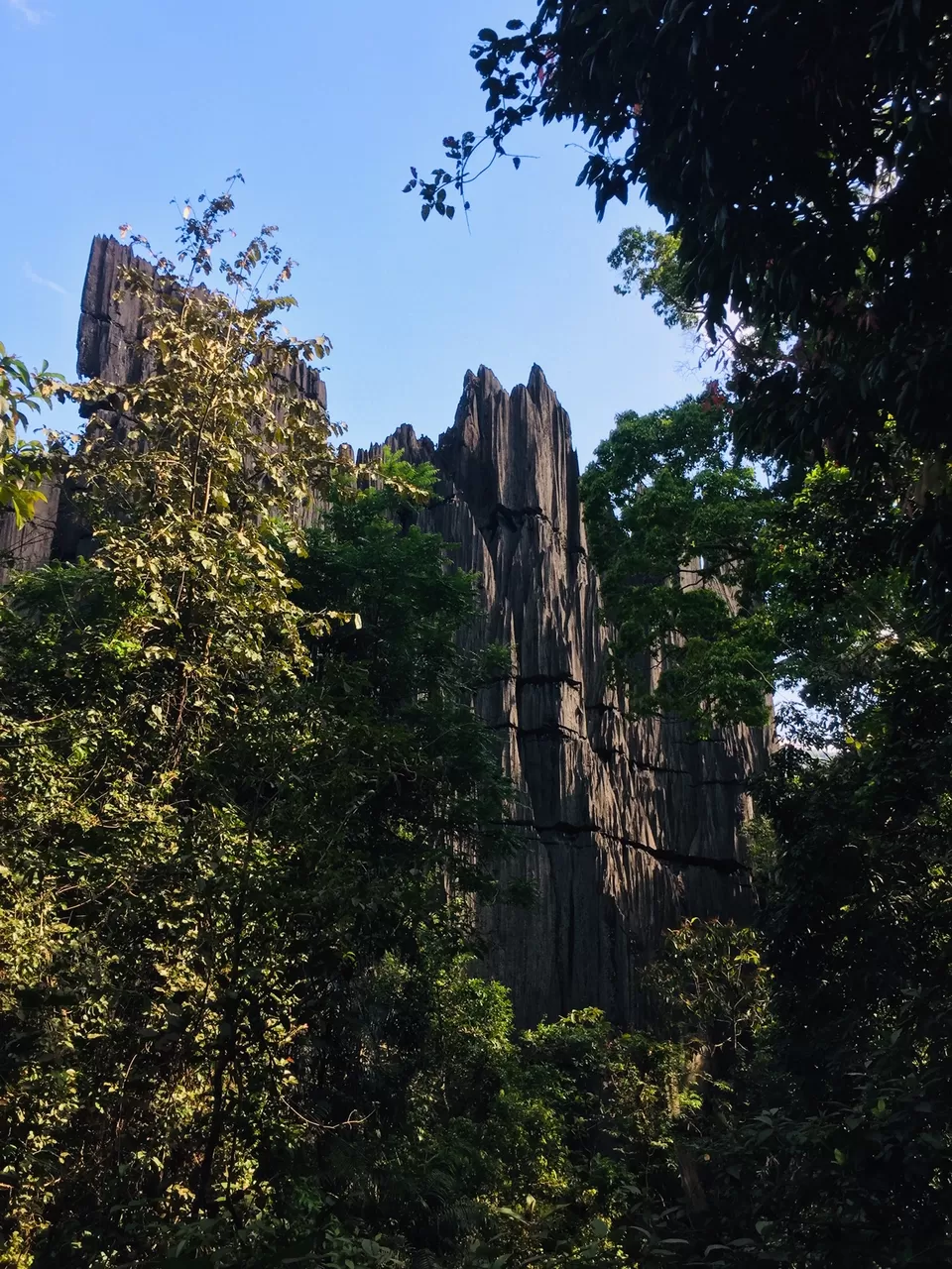 Photo of Yana Caves, Karnataka by Surabhi Keerthi