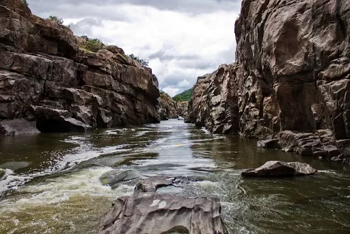 Photo of Sangam-Mekedhatu Road, Mugguru Forest, Karnataka, India by Surabhi Keerthi