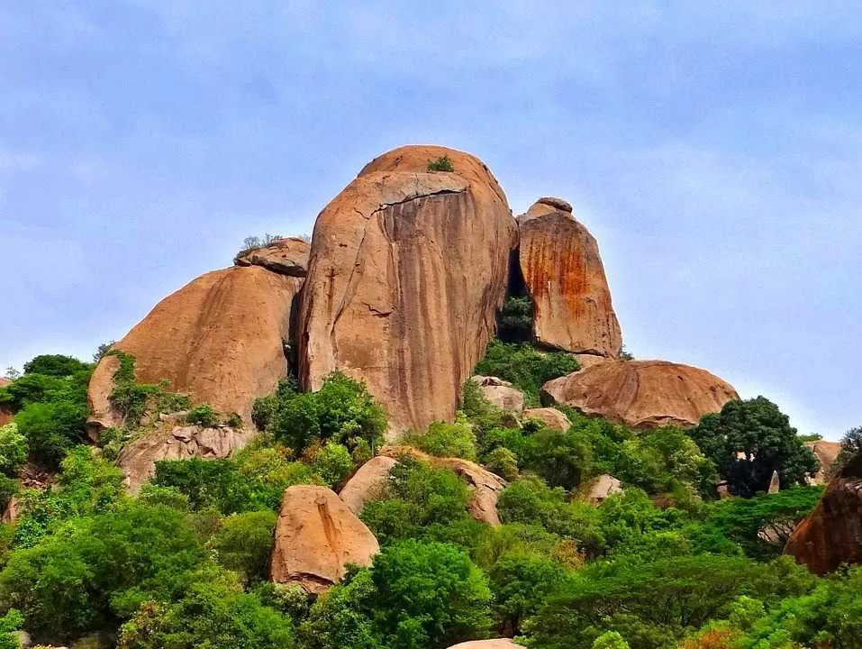 Photo of Bilikal Rangaswamy Betta, Bengaluru, Karnataka, India by Surabhi Keerthi