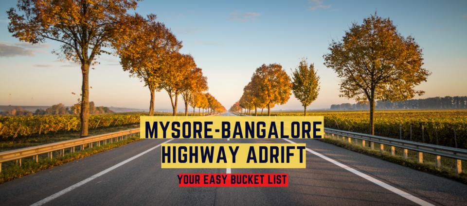 Top 9 Places to Visit in Mysore-Bangalore Highway (Route-2: Via