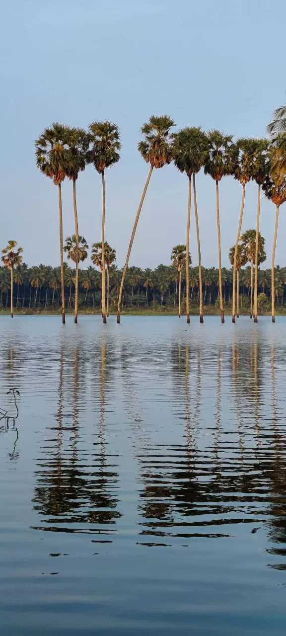Photo of Kambalathara Vengalakkayam Reservoirs by Journey 'n' Journal