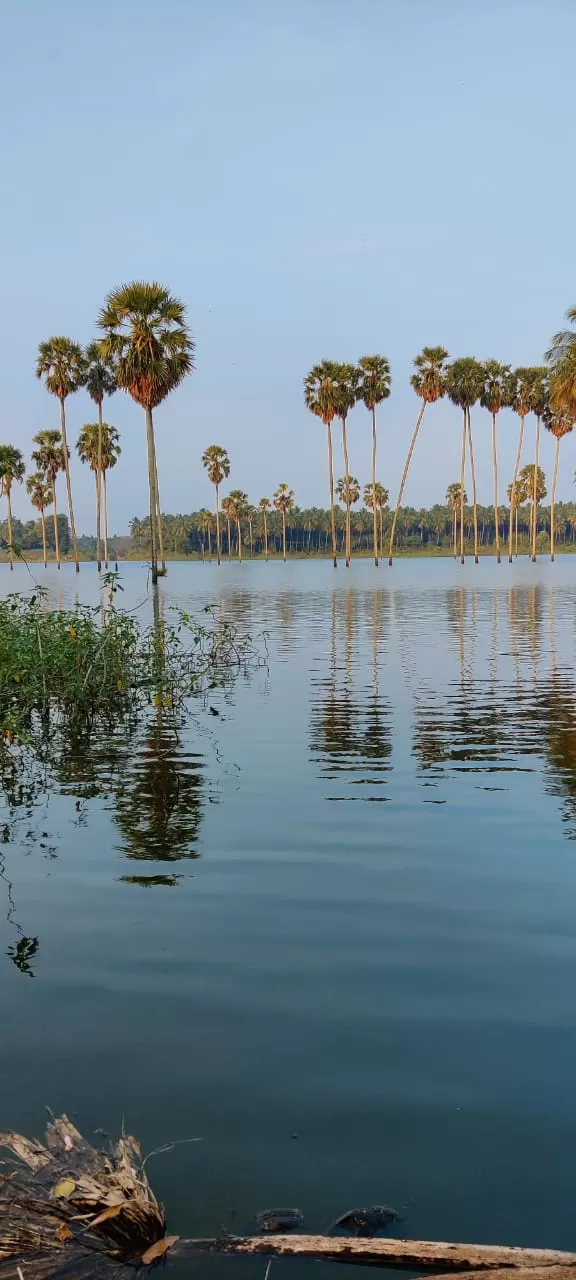 Photo of Kambalathara Vengalakkayam Reservoirs by Journey 'n' Journal