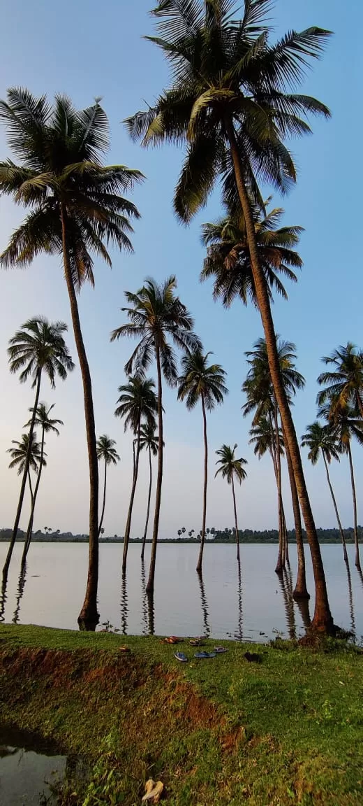 Photo of Kambalathara Vengalakkayam Reservoirs by Journey 'n' Journal
