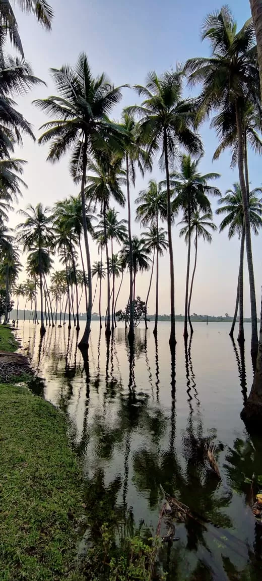 Photo of Kambalathara Vengalakkayam Reservoirs by Journey 'n' Journal