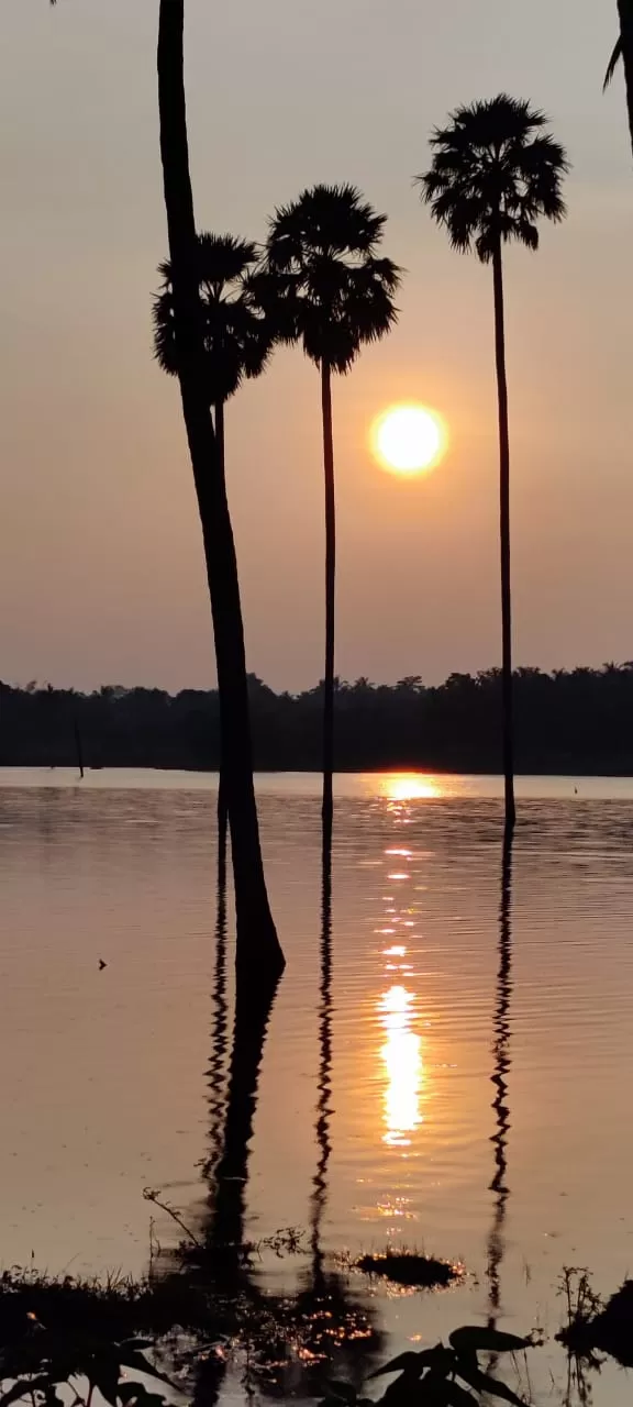 Photo of Kambalathara Vengalakkayam Reservoirs by Journey 'n' Journal