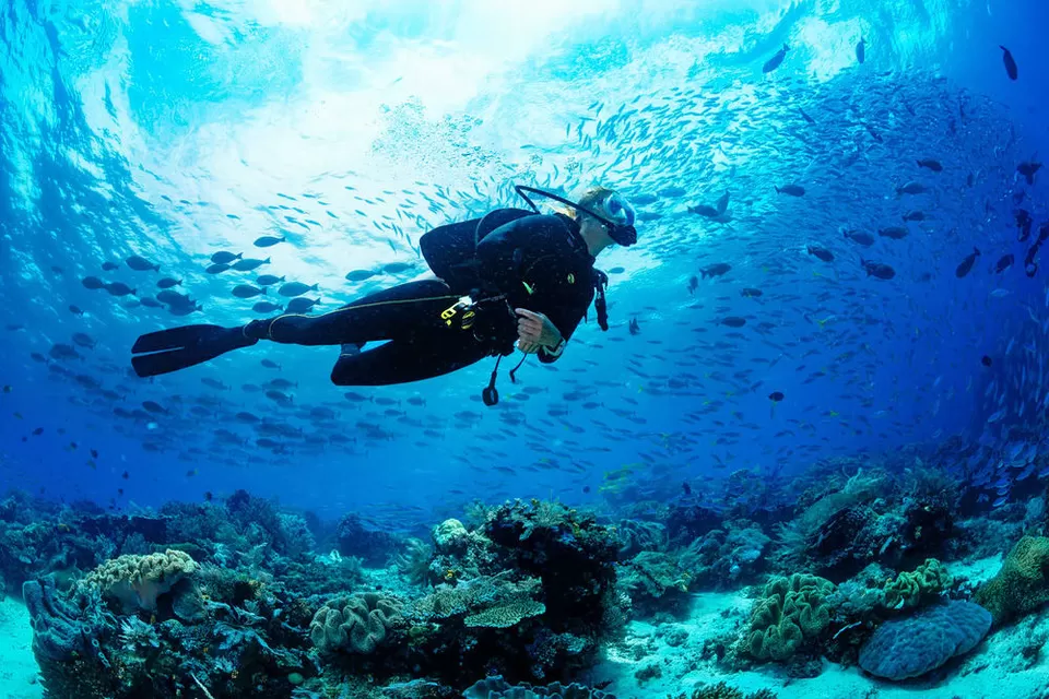 Photo of Here’s Everything You Need to Know About Scuba Diving in Goa by Srishti (still.winds)