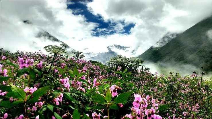 Photo of Here's Why Chenab Valley Should Be On Your Travel Bucket List | #StayhomeStaysafe by still.winds