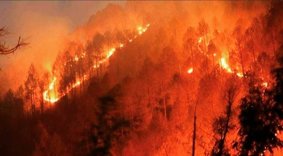 Photo of Mizoram Forest Fire Still Raging After 48 Hours; Spreading to Nearby Towns by Srishti (still.winds)