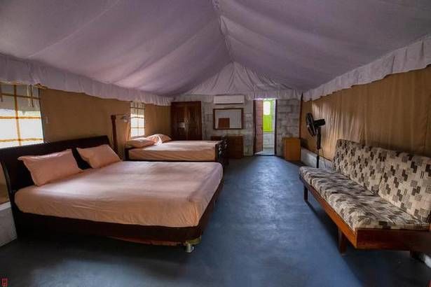 Photo of Experience India’s Farm-Stay Holidays with a Twist, Book an Anti-resort, with WiFi and Cows 1/12 by Srishti (still.winds)