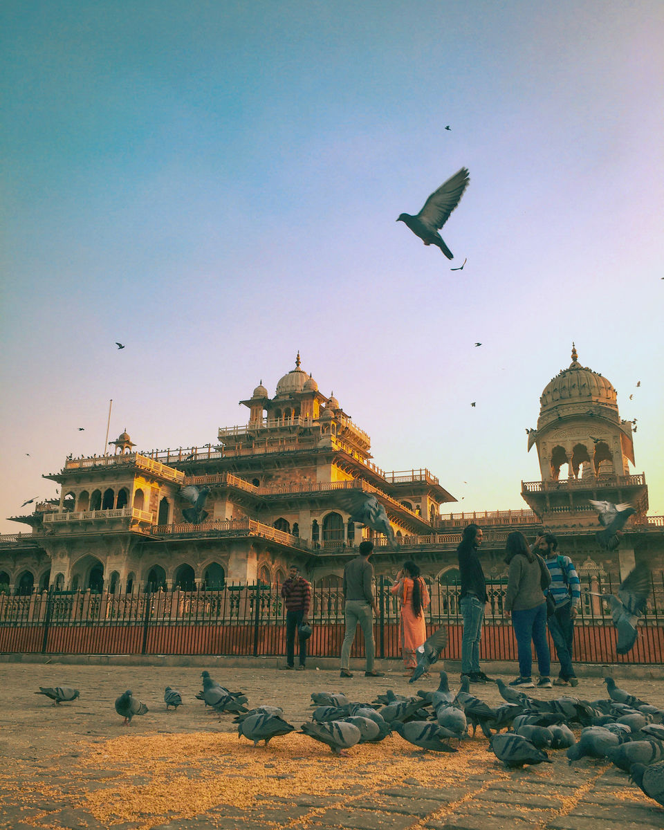 Photo of 7 Days Perfect Itinerary For Rajasthan Trip by Pradeep Bhalerao