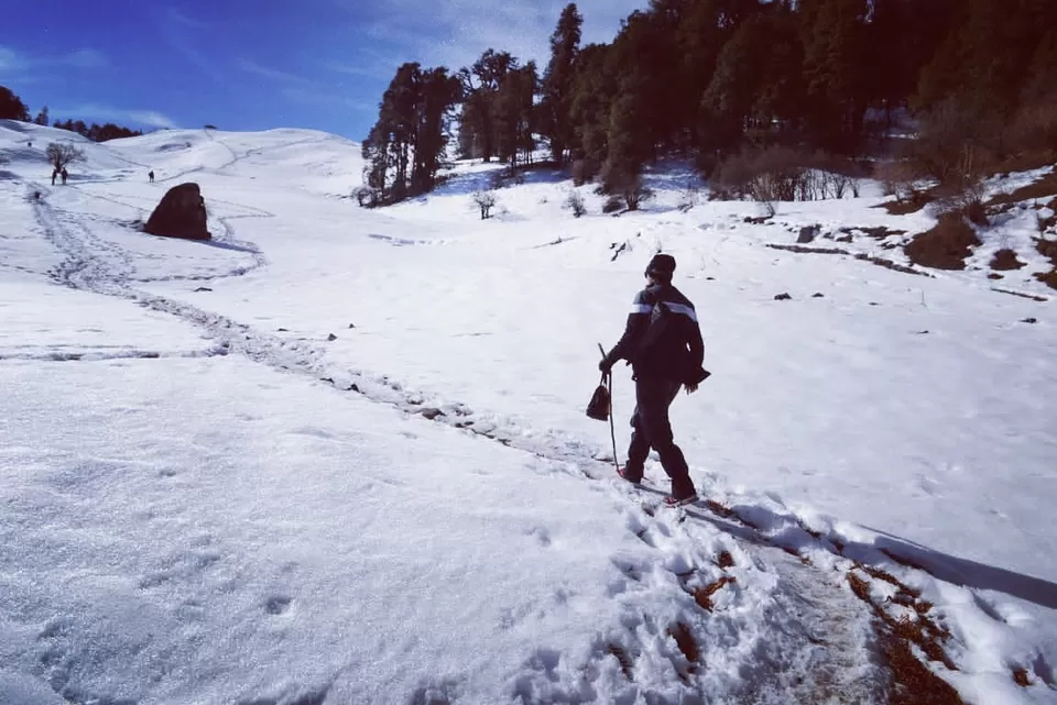 Photo of Dayara Bugyal by Suraj Rawat