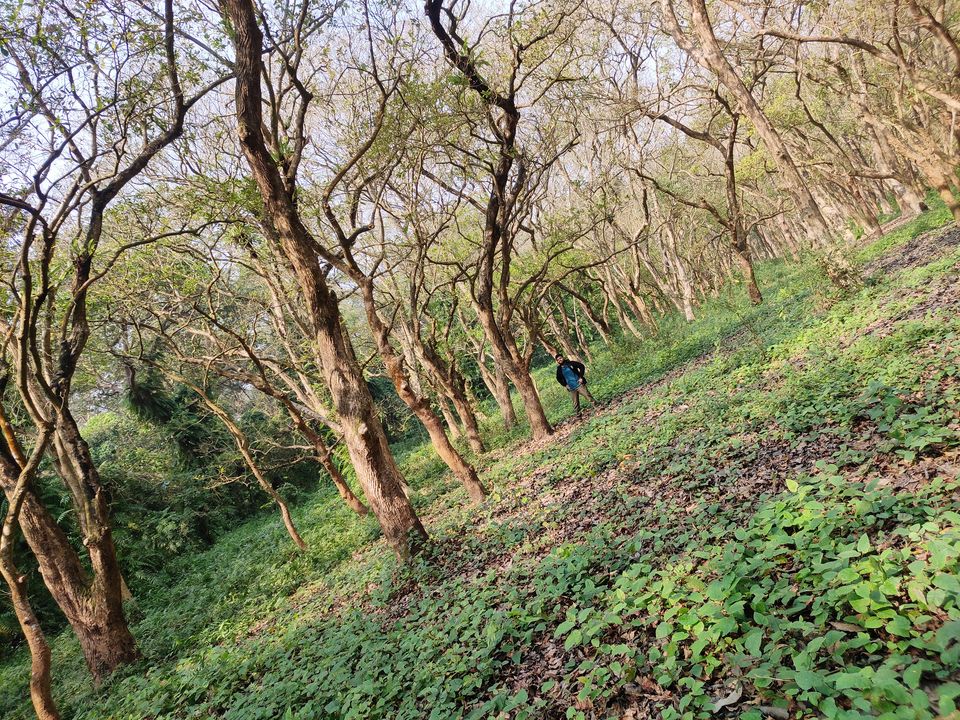 Photo of বিভূতিভূষণ অভয়ারণ্য এবং ভূতুড়ে রাত্রিযাপন #GoLocal 7/10 by Teni Da Of Pataldanga