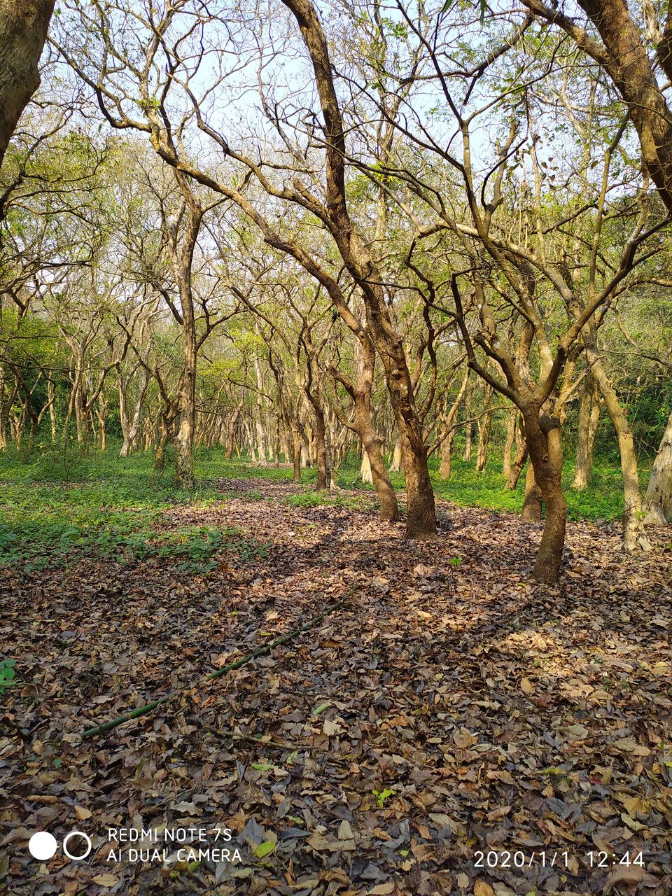 Photo of বিভূতিভূষণ অভয়ারণ্য এবং ভূতুড়ে রাত্রিযাপন #GoLocal 9/10 by Teni Da Of Pataldanga
