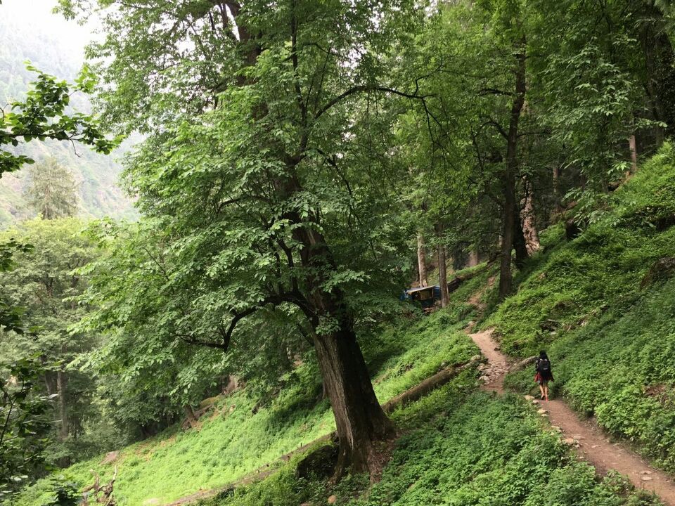 Photo of Tosh, Himachal Pradesh, India by Wander Girl India
