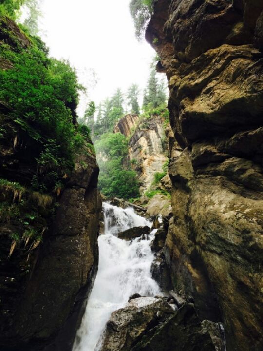Photo of Tosh, Himachal Pradesh, India by Wander Girl India