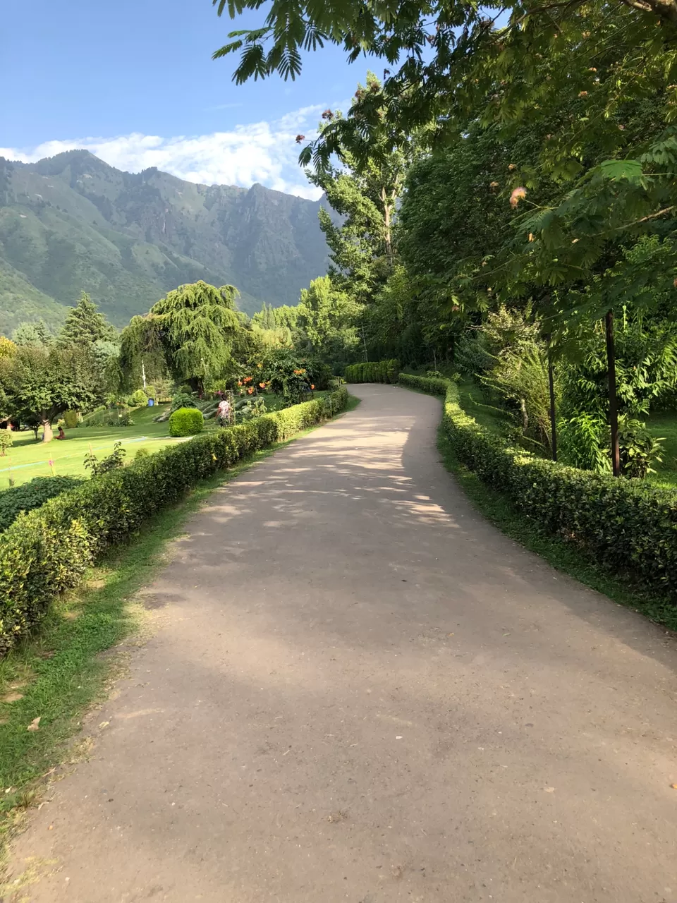 Photo of A lost Paradise# Srinagar by Harshita Jain