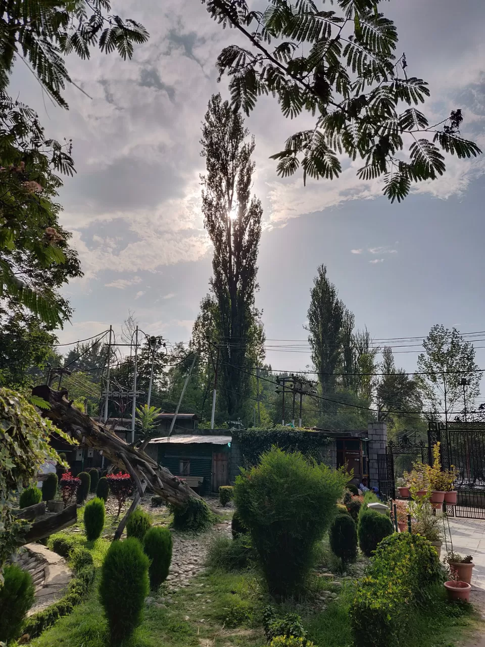 Photo of A lost Paradise# Srinagar by Harshita Jain